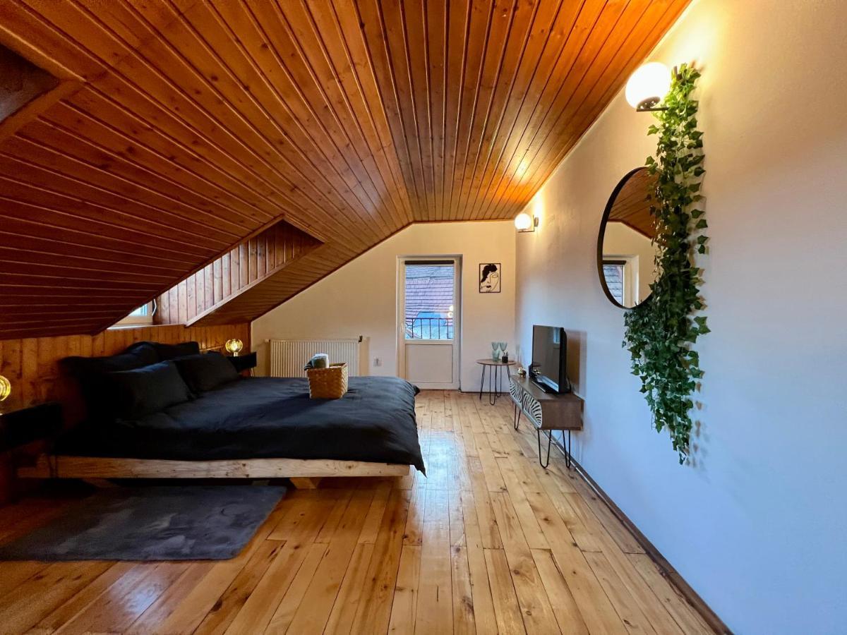 Nacada Studio By Hyco Appartement Sighişoara Buitenkant foto