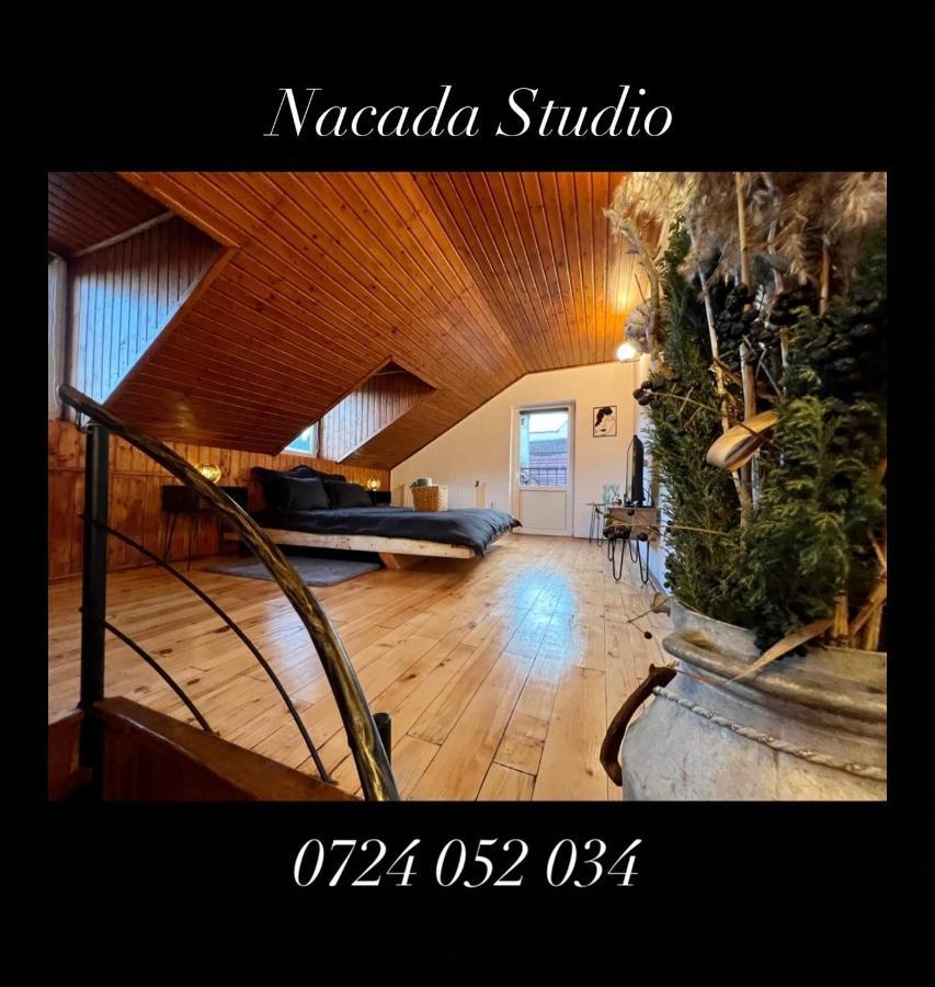 Nacada Studio By Hyco Appartement Sighişoara Buitenkant foto