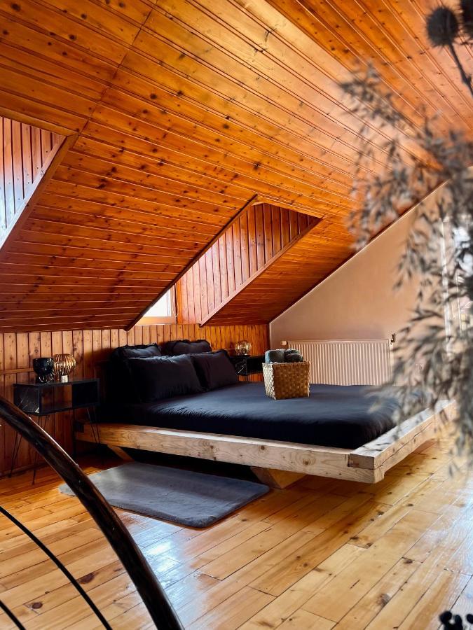 Nacada Studio By Hyco Appartement Sighişoara Buitenkant foto